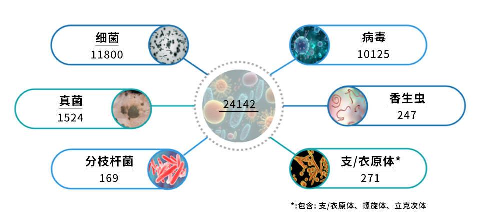 微信图片_20240617132244.jpg